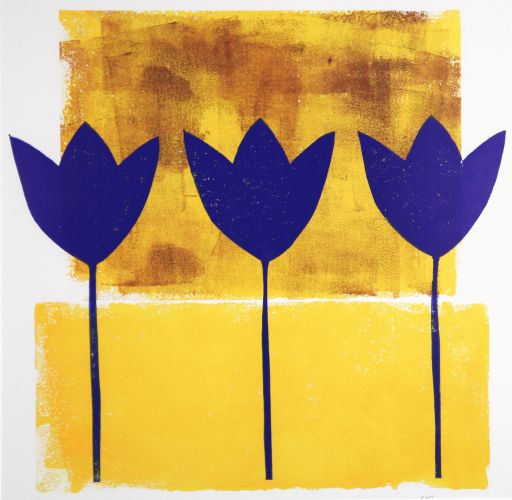 Blue tulips