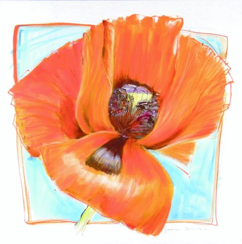 Papaver VIII