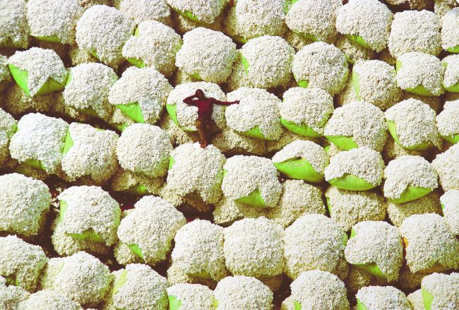 Bales of cotton