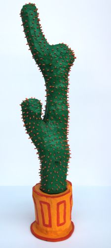 Cactus groot