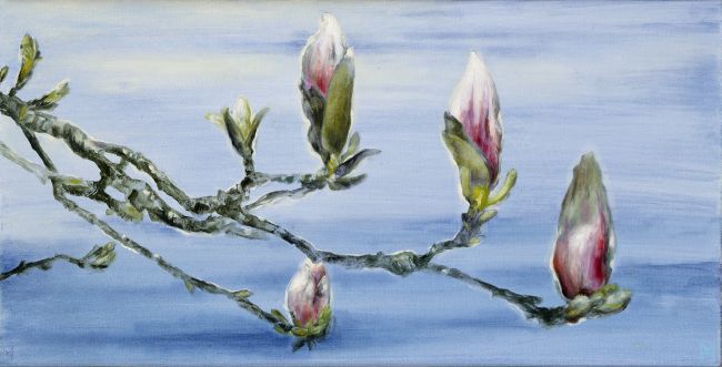 Magnolia II