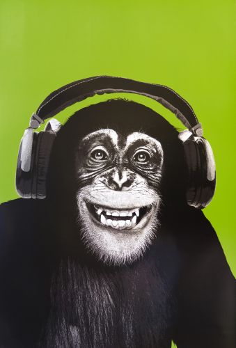 Chimpansee headphones